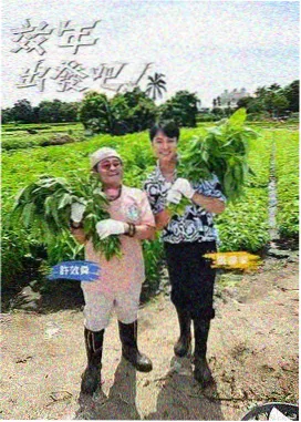 天赐的声音 第七季